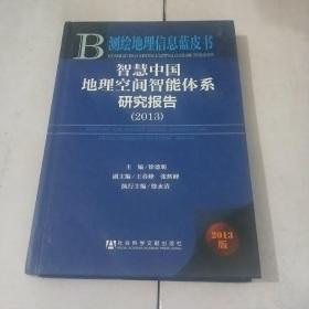 测绘地理信息蓝皮书：智慧中国地理空间智能体系研究报告（2013）