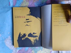 李小龙画传