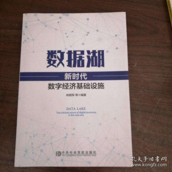 数据湖：新时代数字经济基础设施