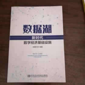 数据湖：新时代数字经济基础设施