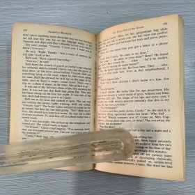 英文原版 The Deep End of the Ocean 36开