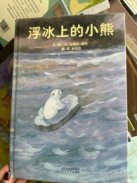 浮冰上的小熊