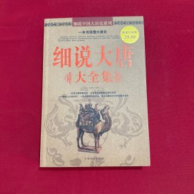 细说大唐大全集