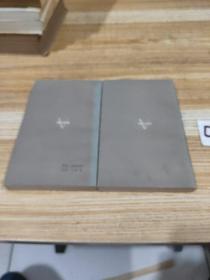 新译全本：黑奴吁天录（上下）