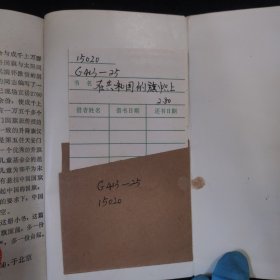 在共和国的旗帜上