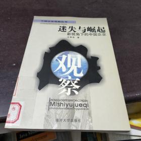 迷失与崛起——新视角下的中国企业