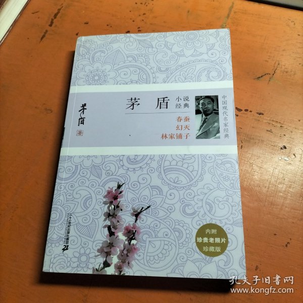 茅盾小说经典