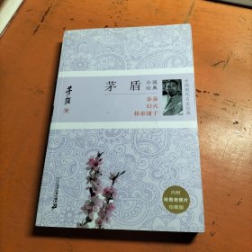 茅盾小说经典
