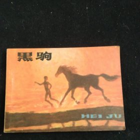 连环画黑驹