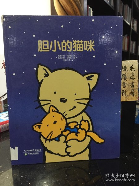 胆小的猫咪