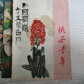 陕西青年1979年     8  10  11本