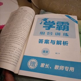 学霸组合训练：语文（高二下）