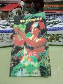 热带野果萝荔的故事 来自伊甸园的礼物.