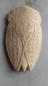和田老玉金蝉