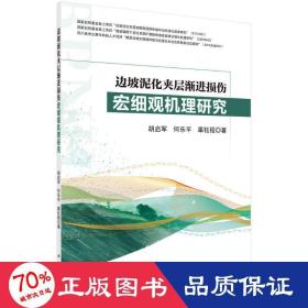 边坡泥化夹层渐进损伤宏细观机理研究