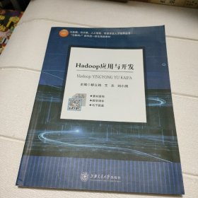Hodoop应用于开发【书边有点水印，品看图】
