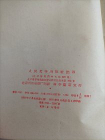 高尔基的《母亲》与社会主义现实主义问题