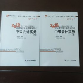 (2019)中级会计实务应试指导及全真模拟测试中级会计轻松过关1