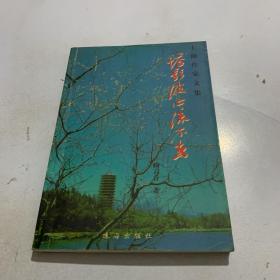 塔影波心流不去