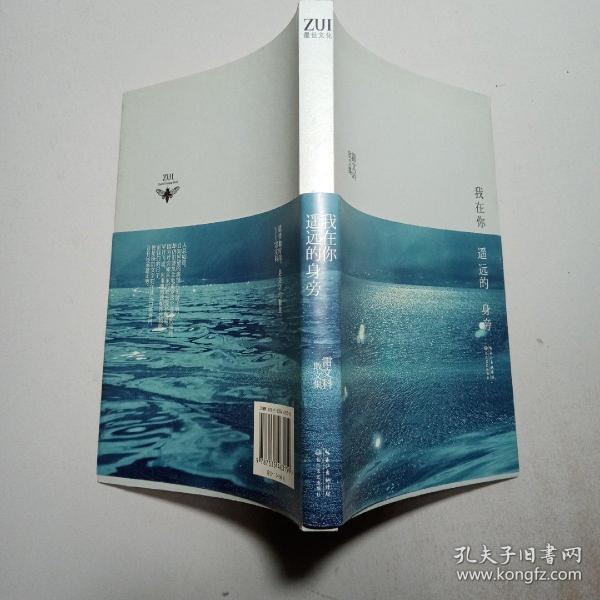 我在你遥远的身旁
