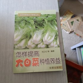 怎样提高大白菜种植效益