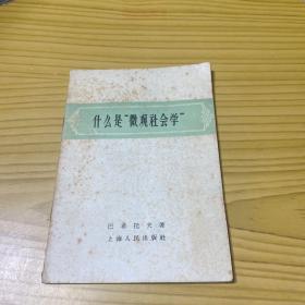 什么是“微观社会学”