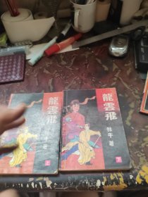 龙云飞 上下