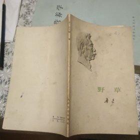 野草【原版 实拍】