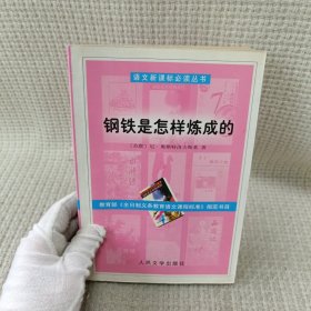 钢铁是怎样炼成的