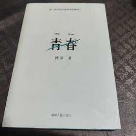 青春 杂文集 韩寒作品