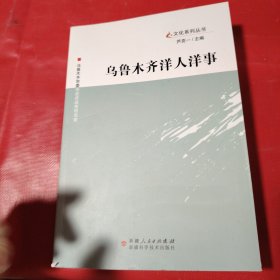 乌鲁木齐洋人洋事 2016年