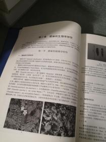 正版精装  中国蕨麻  青藏高原植物研究