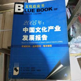 2005年：中国文化产业发展报告