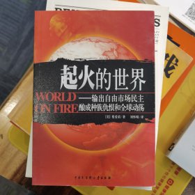 起火的世界：输出自由市场民主酿成种族仇恨和全球动荡