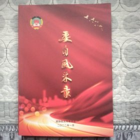 包头市委员风采录