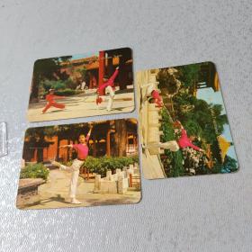1976年年历卡片：武术（美女练武术）3张合售。
