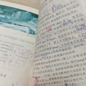 九年义务教育六年制小学教科书语文第十一册