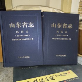 山东省志民俗志（1840-2005） 上下两本全