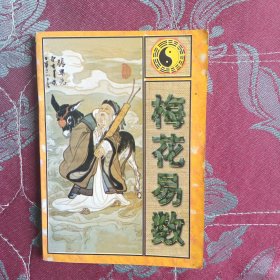 梅花易数（中州古籍出版社）