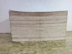 神探柯南：当代少年推理漫画小说1-8