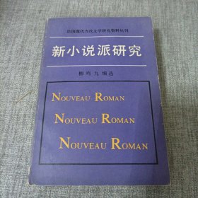 新小说派研究