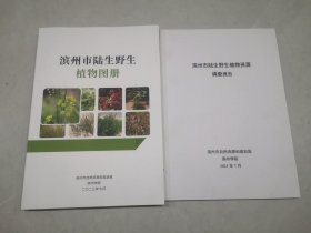 滨州市陆生野生植物图册（附赠滨州市陆生野生植物资源调查报告）