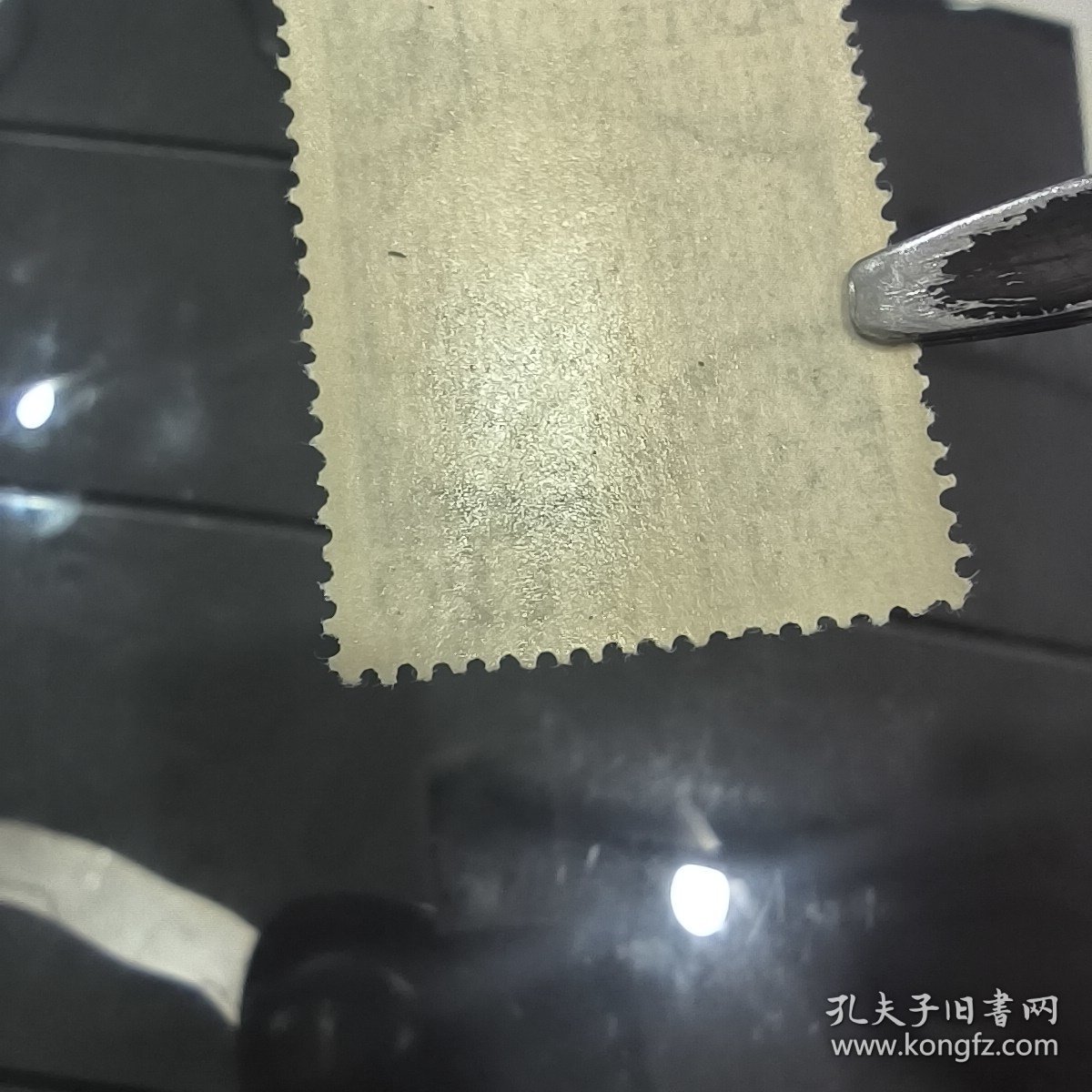 LD107意大利邮票1949年9月19日 名人人物 古罗马最杰出诗人之一 卡图卢斯逝世2000周年 外国邮票 新 1全 有软痕，如图