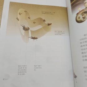 果壳中的宇宙