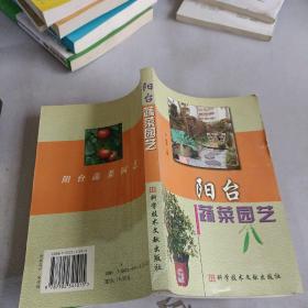 阳台蔬菜园艺