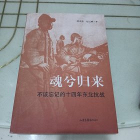 魂兮归来：不该忘记的十四年东北抗战