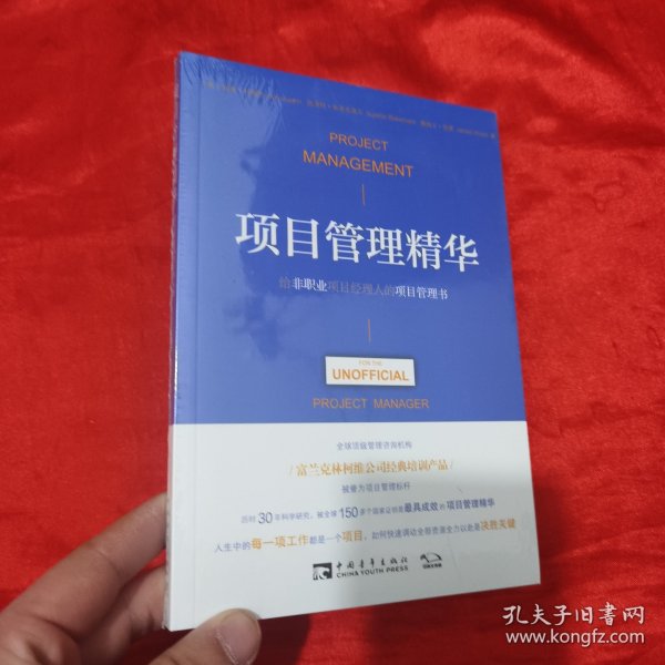 项目管理精华：给非职业项目经理人的项目管理书