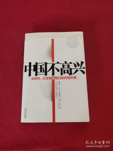 中国不高兴：大时代大目标及我们的内忧外患