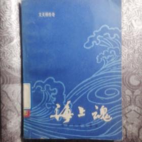 《海上魂：文天祥传奇》