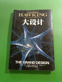 大设计